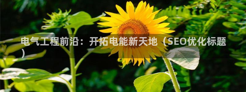 凯发线上客户端免费下载