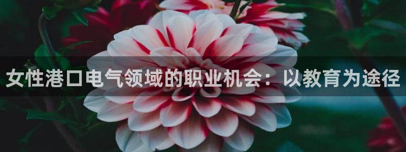 凯发k8娱乐注册登录：女性港口电气领域的职业机会：