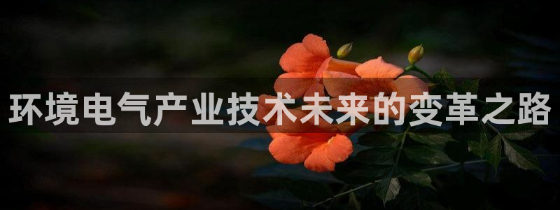 国际凯发k8真人版旗舰厅：环境电气产业技术未来的变