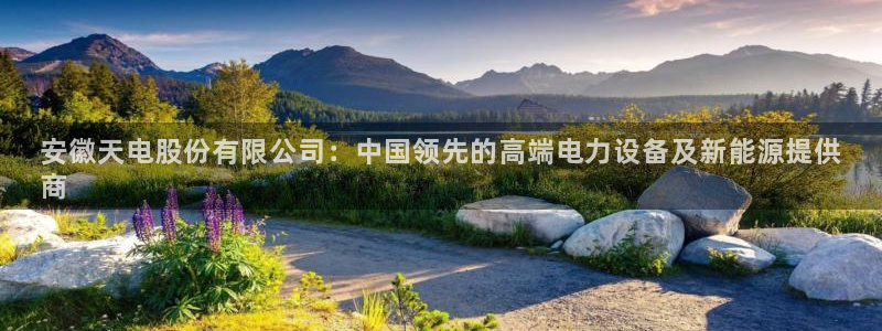 凯发k8娱乐官网入：安徽天电股份有限公司：中国领先